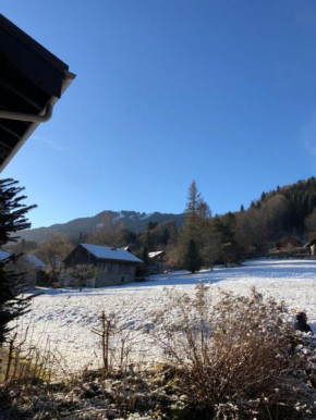 2 pièces avec terrasse Morillon Village